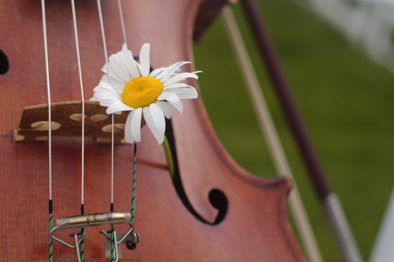 die wunderschoene Bratsche